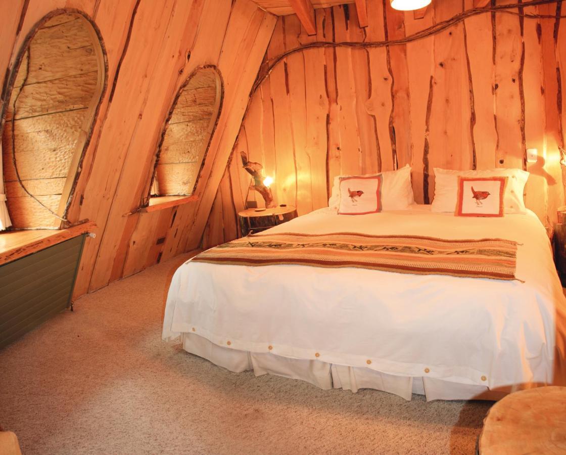 Huilo Huilo Montana Magicaヴィラ 部屋 写真